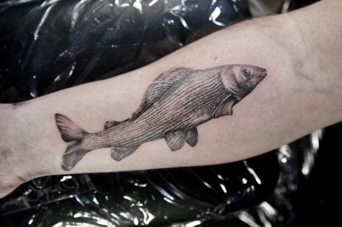 tatuaz realistyczny ryba lipien